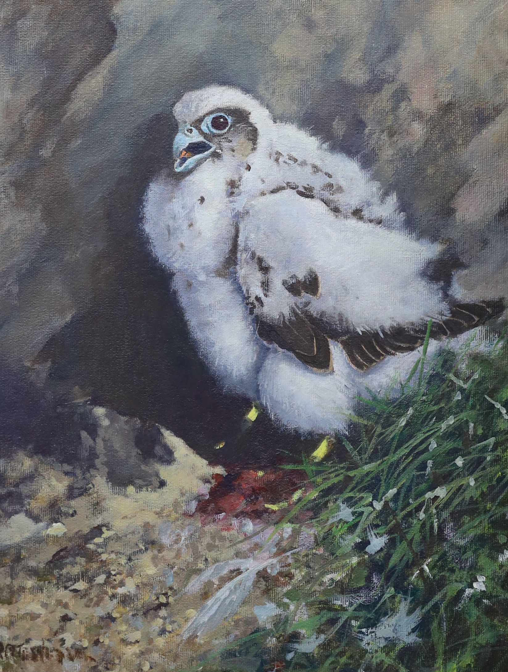 20th century school, oil on canvas board, Study of a chick, indistinctly signed lower right, 36 x 28cm, unframed